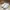 Nike Casual Sneakers Pria white photo 2