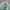 Zegna Luxury Formal shirt Pria green photo 3