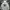 Dickies Streetwear Hoody Pria gray photo 1