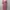 Minimalist Reworked Midi dress Wanita pink photo 2