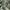 ZARA Vintage Casual shirt Pria white green photo 2