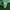 Drew House Streetwear T-shirt Pria green photo 4
