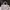 Coach Casual Shoulder bag Wanita white photo 1