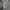 Moncler Luxury Casual T-shirt Wanita gray photo 1