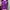 Y2K Cardigan Wanita purple photo 3