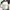 Brandy Melville Y2K Casual Crop top Wanita green photo 2