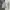 Uniqlo Vintage Y2K Hoody Pria gray photo 1