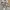 Vintage Y2K Hoody Pria gray photo 5