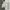 Fila Vintage Y2K Hoody Pria white photo 1