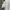 Fila Vintage Y2K Hoody Pria White