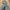 Nike Air Jordan Vintage Y2K Hoody Pria gray photo 3