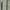 Vintage Minimalist Hair accessory Wanita green photo 2