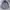 Vintage Sportswear Parka Pria tan photo 1