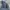 Vintage Sportswear Parka Pria tan photo 6