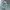 Eddie Bauer Luxury Puffer jacket Pria silver green photo 1