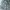 Eddie Bauer Luxury Puffer jacket Pria silver green photo 7