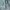 Eddie Bauer Luxury Puffer jacket Pria silver green photo 4