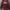 Avant Garde Bomber jacket Pria red photo 1
