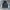 Nike Vintage Sportswear Windbreaker Pria black gray photo 1