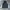 Nike Vintage Sportswear Windbreaker Pria Black Gray