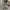 Maison Kitsuné Luxury T-shirt Pria white photo 3