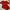 Rosetz Red Dress