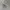 Streetwear Casual Sweatshirt Pria gray photo 5