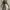 Luxury Prom dress Wanita gray photo 2