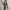 Luxury Prom dress Wanita gray photo 3