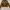 Carhartt Streetwear Y2K Track jacket Pria brown photo 1