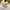 Hush Puppies Streetwear Casual T-shirt Pria white yellow photo 6