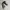 Converse Streetwear Sportswear Sneakers Pria white black photo 2