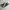 Converse Streetwear Sportswear Sneakers Pria white black photo 3