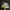 Nike Gorpcore Casual Sneakers Pria white green photo 1