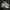 Nike Indie Casual Sneakers Pria White Red