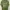 H&M Streetwear T-shirt Pria Green