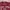 Zoo York Casual T-shirt Pria burgundy photo 2