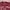 Zoo York Casual T-shirt Pria Burgundy