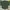 Muslim Baju muslim Pria green photo 1