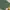 Muslim Baju muslim Pria green photo 3