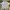 Pull & Bear Casual T-shirt Pria White