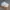 Adidas Sportswear Sneakers Wanita white photo 2