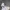 Adidas Sportswear Sneakers Wanita white photo 1