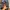 Gorpcore Futurist Pria black photo 5