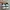 Adidas Casual Sneakers Pria green photo 3