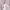 Urban Research Y2K Coquette Sweater Wanita pink photo 5