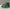 Sportswear Sneakers Pria green photo 4