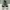 Sportswear Sneakers Pria green photo 5