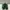 Sportswear Sneakers Pria green photo 3