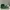 Sportswear Sneakers Pria green photo 2